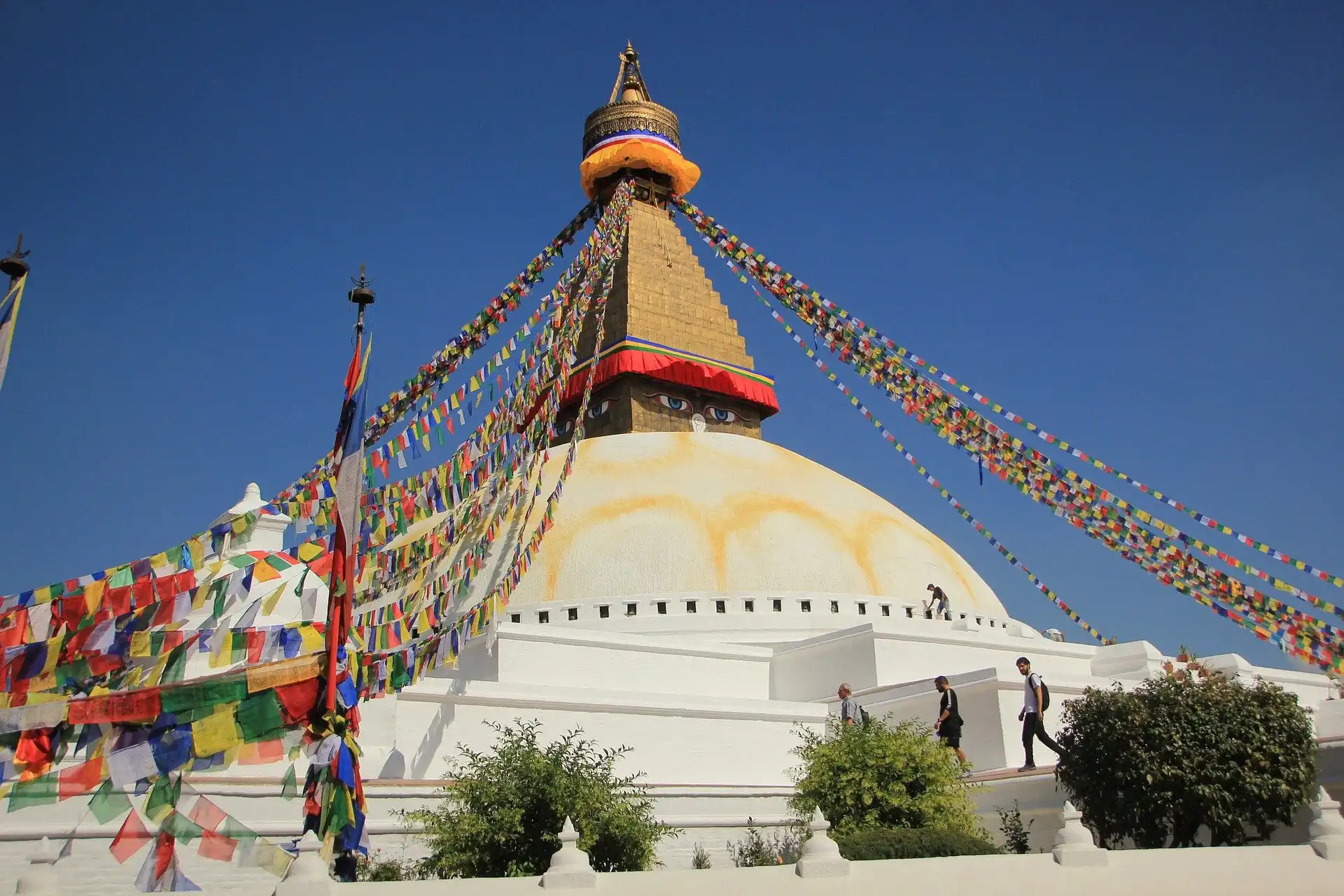 Everest Adventure Tour